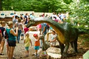 Dino Parc Râşnov marchează 10 ani de activitate cu o investiţie pentru dezvoltare